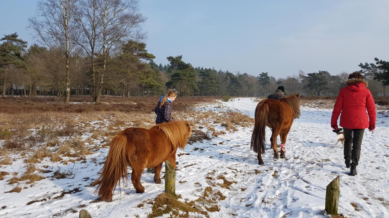 Chalet Op De Veluwe # Eiken Putten Kültér fotó