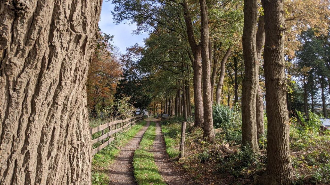 Chalet Op De Veluwe # Eiken Putten Kültér fotó