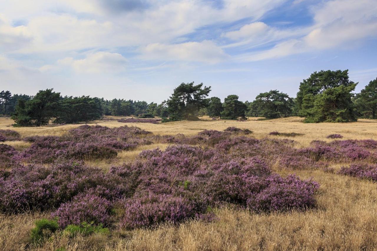 Chalet Op De Veluwe # Eiken Putten Kültér fotó