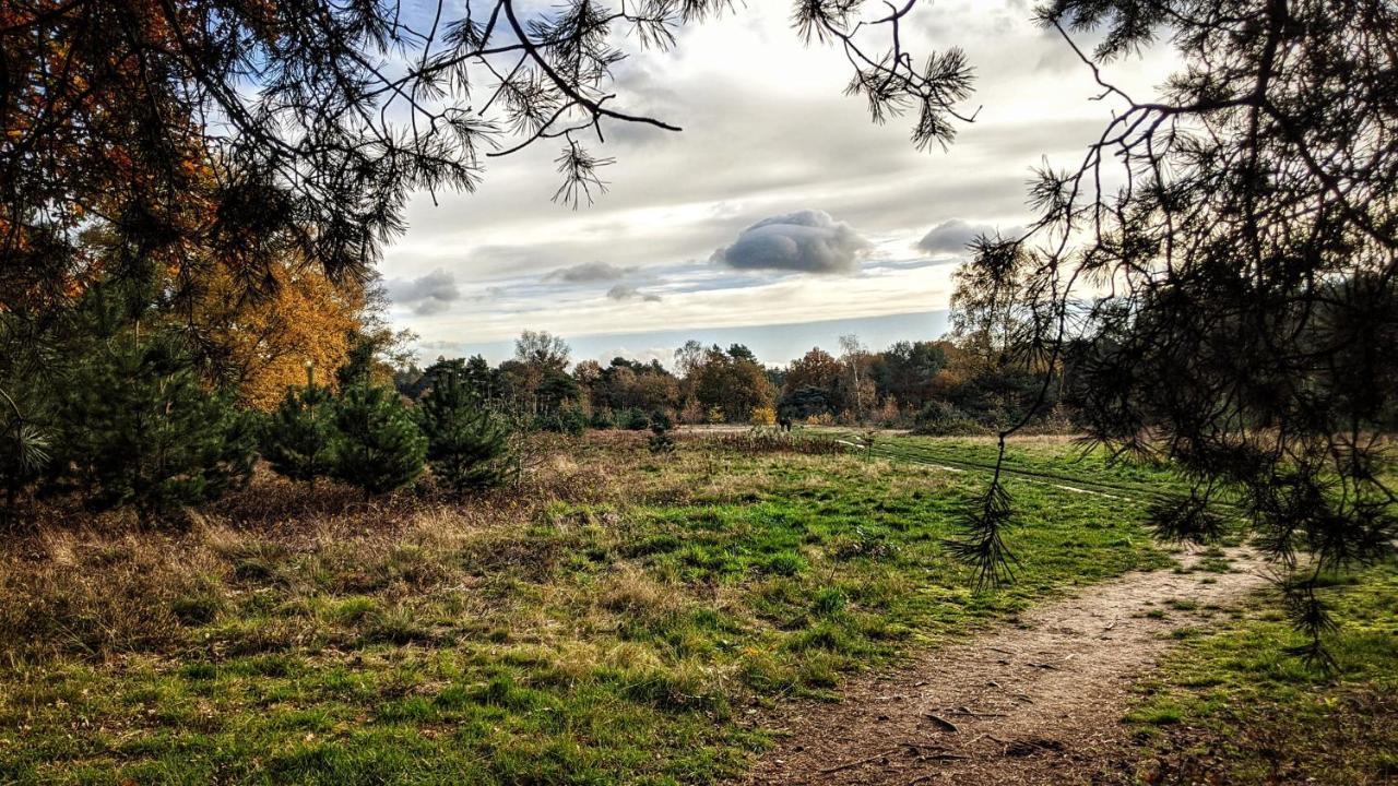 Chalet Op De Veluwe # Eiken Putten Kültér fotó
